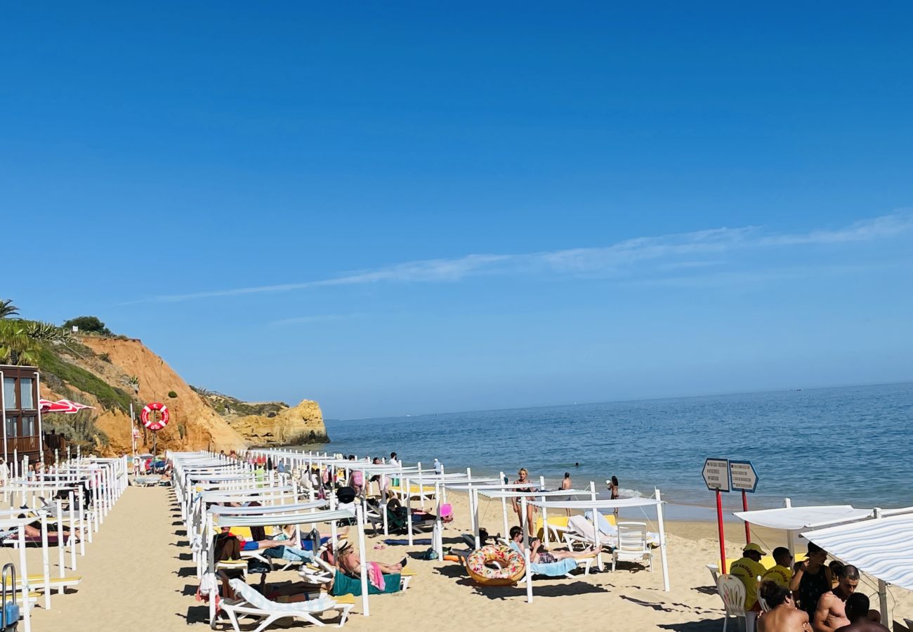 Ferienwohnung in Albufeira - Balaia Terrace by Check-in Portugal