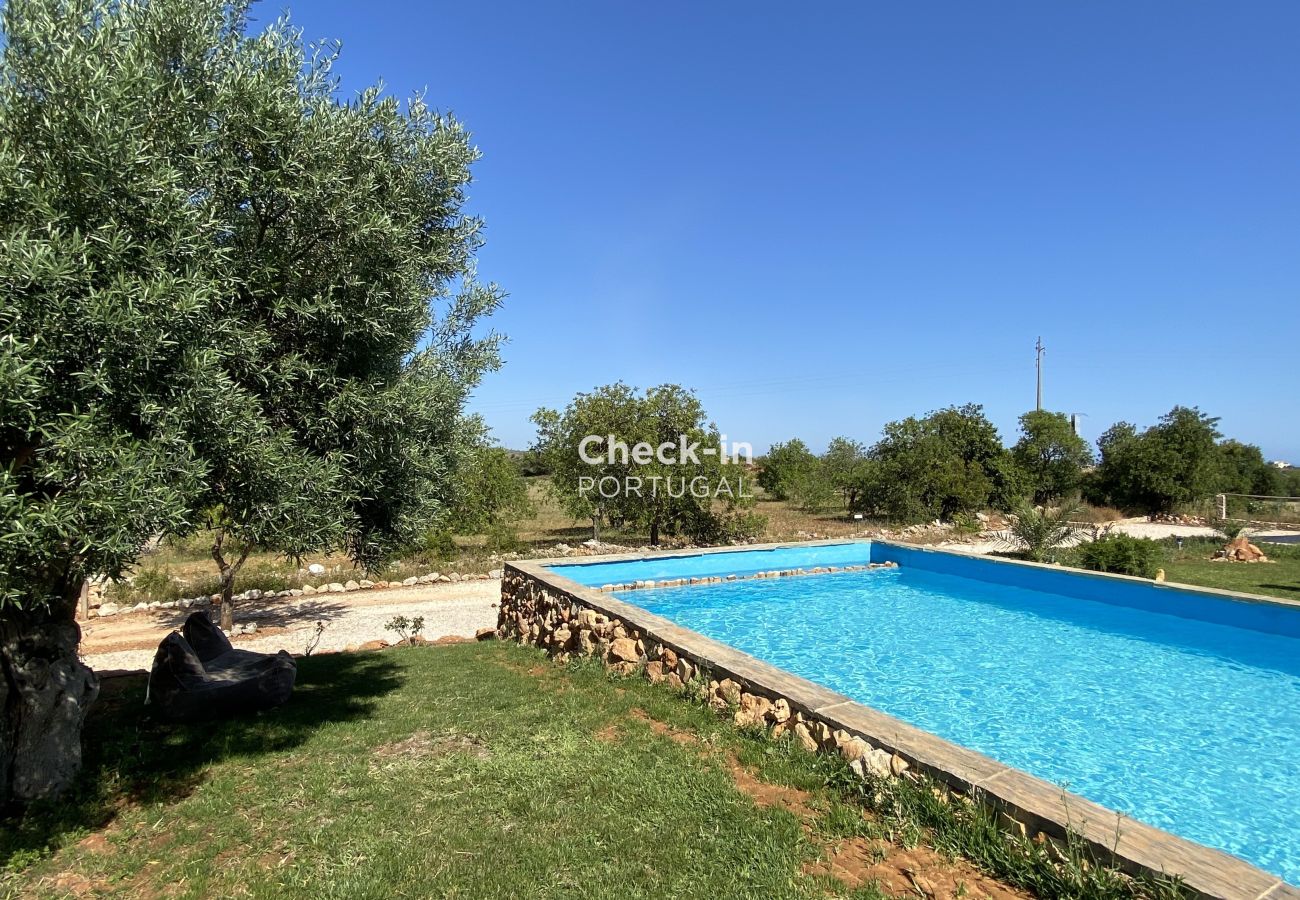 Piscine; jardin; villa